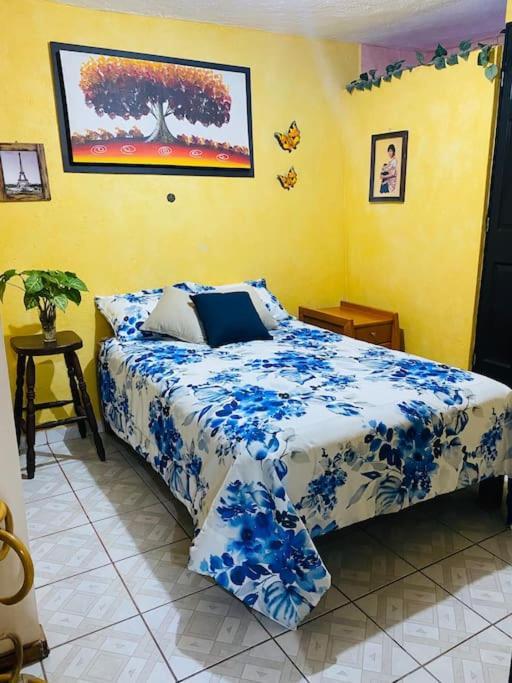 Casa Camilo - Cozy, Beautiful And Nice Separe Room Сан Мигел де Аленде Екстериор снимка