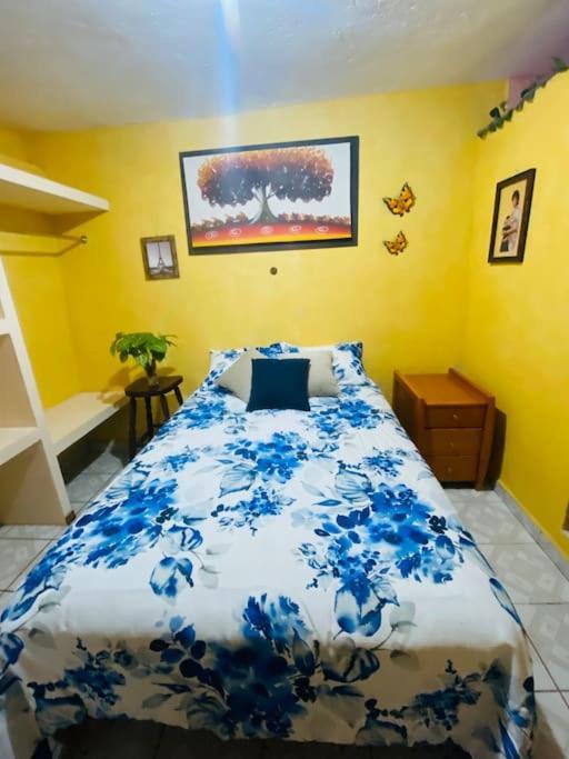 Casa Camilo - Cozy, Beautiful And Nice Separe Room Сан Мигел де Аленде Екстериор снимка