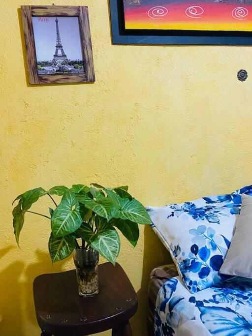 Casa Camilo - Cozy, Beautiful And Nice Separe Room Сан Мигел де Аленде Екстериор снимка