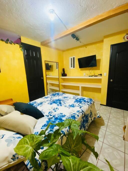 Casa Camilo - Cozy, Beautiful And Nice Separe Room Сан Мигел де Аленде Екстериор снимка